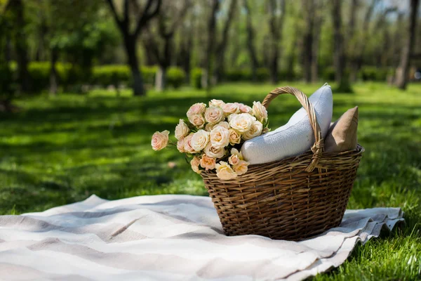 Spring picnic in a park — Stock Photo, Image