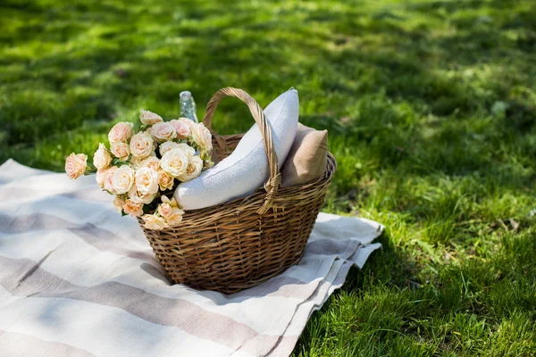 Spring picnic in a park — Stock Photo, Image