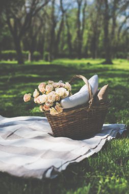 Bir parkta bahar pikniği