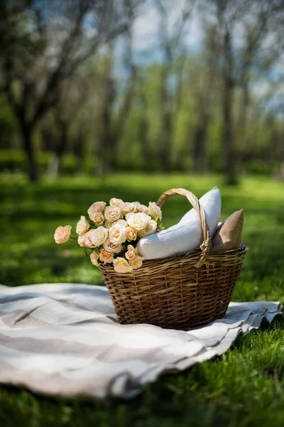 Spring picnic in a park — Stock Photo, Image