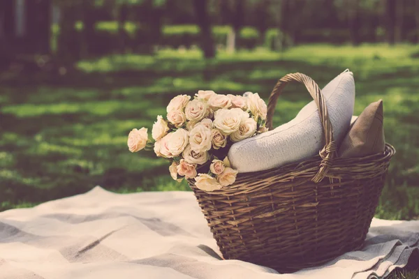 Picnic de primavera en un parque — Foto de Stock