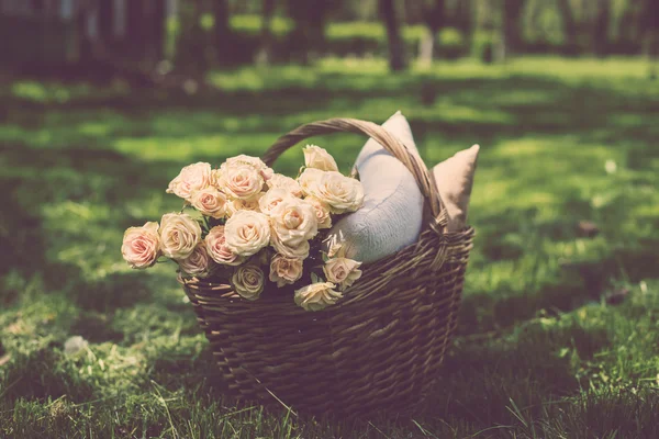 Piquenique de primavera em um parque — Fotografia de Stock