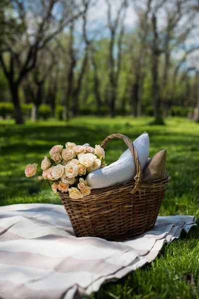 Wiosną piknik w parku — Zdjęcie stockowe