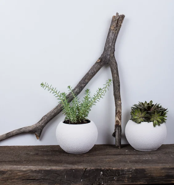 Decoración de estilo escandinavo con tablero de madera rústico —  Fotos de Stock