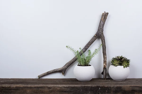 Decoração de casa estilo escandinavo com placa de madeira rústica — Fotografia de Stock