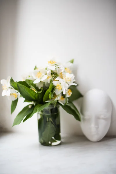 Bouquet de fleurs blanches fraîches de jasmin d'été — Photo