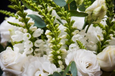 Çiçek ve yaprakları makro closeup zarif beyaz buket