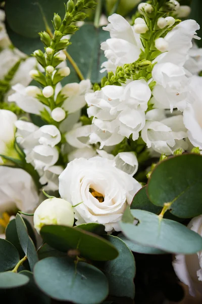 Elegante ramo blanco de flores y hojas macro primer plano —  Fotos de Stock