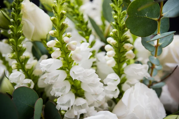 优雅的白色花束和叶子宏观特写镜头 — 图库照片