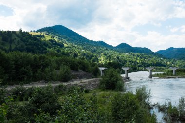 Karpat Dağları, doğal yeşil orman manzara