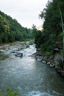 dağ nehir su akışı Karpat Dağları'nda bir