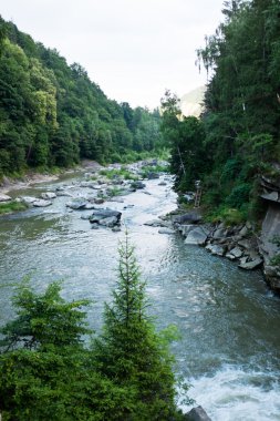 dağ nehir su akışı Karpat Dağları'nda bir