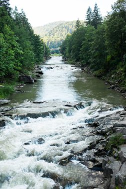 dağ nehir su akışı Karpat Dağları'nda bir
