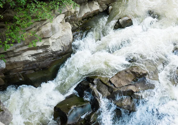 La corriente de un río de montaña en las montañas Cárpatos —  Fotos de Stock