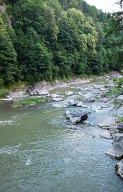 dağ nehir su akışı Karpat Dağları'nda bir