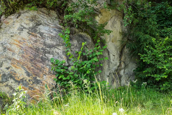 Karpat Dağları, doğal taş taş manzara — Stok fotoğraf