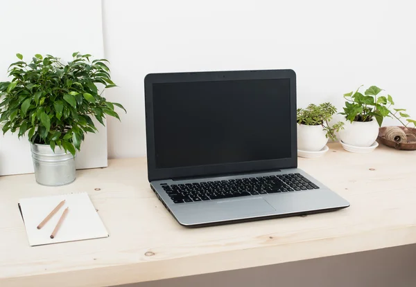 Hipster-Startup-Arbeitsplatz mit Laptop und Pflanzen — Stockfoto