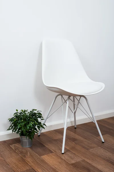 Blanco elegante silla de diseño y planta de hogar verde cerca de la pared — Foto de Stock