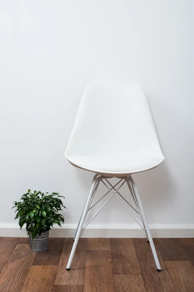 Weißer stylischer Designerstuhl und grüne Eigenheimpflanze an der Wand — Stockfoto