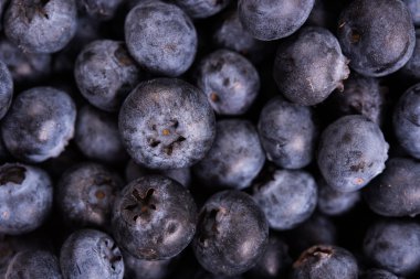 Olgun taze yaban mersini makro çekim, meyve arka plan