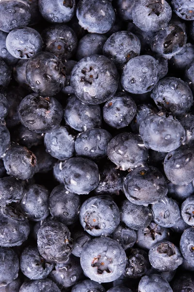 Frische reife Blaubeeren Makroaufnahme, Fruchthintergrund — Stockfoto