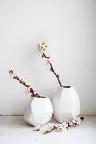 Florecientes ramas de albaricoque en jarrones, decoración casera de primavera blanca — Foto de Stock