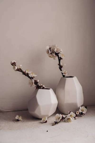 Blühende Aprikosenzweige in Vasen, weiße Frühlingsdekoration — Stockfoto
