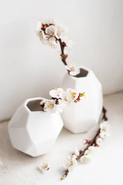 花瓶にアプリコットの木の枝を開花させ、白い春の家の装飾 — ストック写真