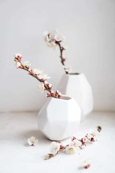 Branches d'abricot en fleurs dans des vases, décoration de la maison de printemps blanc — Photo