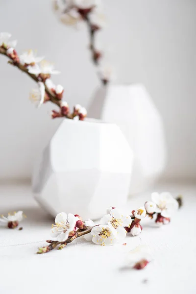 Floração galhos de damasco em vasos, decoração de casa de primavera branca — Fotografia de Stock