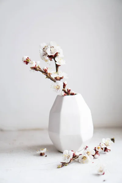 Blommande aprikos trädgrenar i vaser, vit vår heminredning — Stockfoto