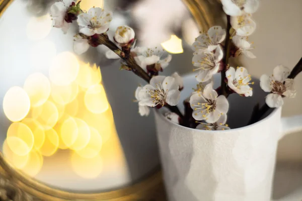 Ramas florecientes de albaricoque en copa y vela encendida frente al espejo — Foto de Stock