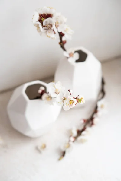 Branches d'abricot en fleurs dans des vases, décoration de la maison de printemps blanc — Photo