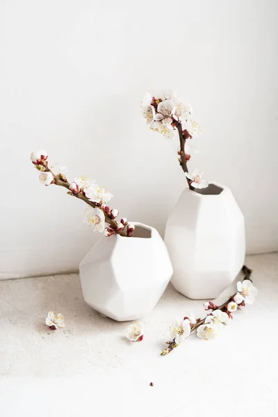 Branches d'abricot en fleurs dans des vases, décoration de la maison de printemps blanc — Photo