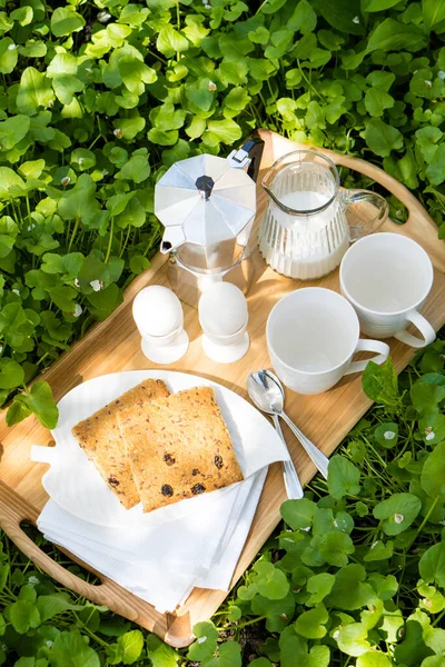 Śniadanie dla dwojga na trawniku w ogrodzie — Zdjęcie stockowe