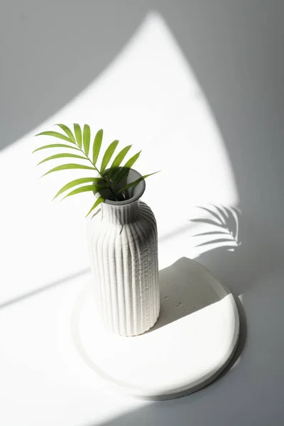 Modna nowoczesna martwa natura z ceramicznym wazonem i okrągłą tacą — Zdjęcie stockowe