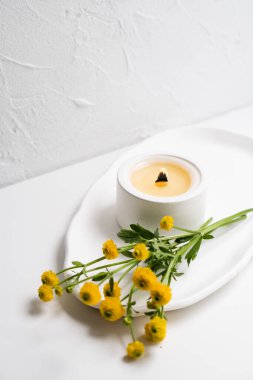 Beyaz yanan mum, ahşap fitil ve sarı çiçekler beyaz tepside