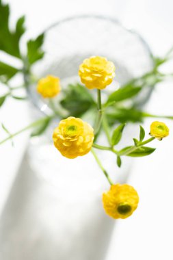 Cam vazoda küçük sarı düğün çiçekleri.