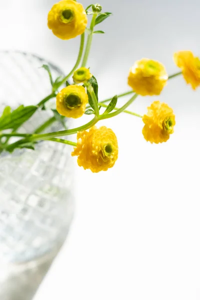 Small yellow buttercups flowers in glass vase — Stock Photo, Image