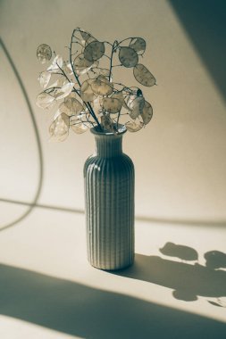 Bej renkli stüdyo arka planında seramik vazoda kurutulmuş ay demeti.