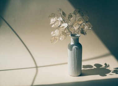 Bej renkli stüdyo arka planında seramik vazoda kurutulmuş ay demeti.