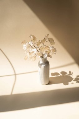 Bej renkli stüdyo arka planında seramik vazoda kurutulmuş ay demeti.