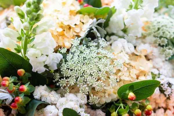 美しい花の背景、さまざまな白とベージュの花、バラとアジサイの購入 — ストック写真
