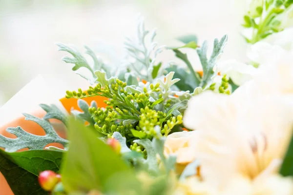 Hermoso fondo floral, surtido de flores blancas y beige, ramo de rosas y hortensias — Foto de Stock