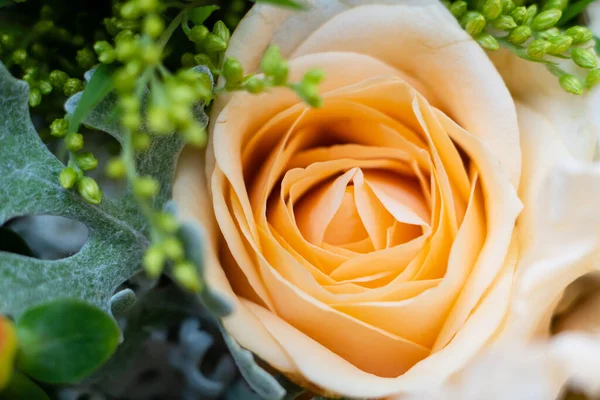 Krásné květinové pozadí, rozmanité bílé a béžové květy, kytice růží a hortenzií — Stock fotografie