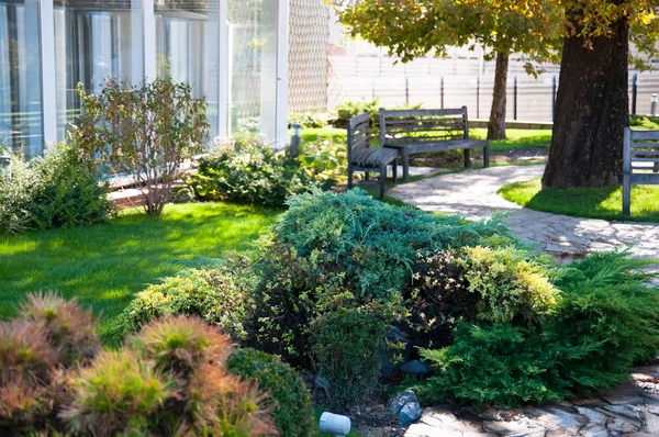 Beautiful summer yard — Stock Image Beautiful summer yard Stock Image