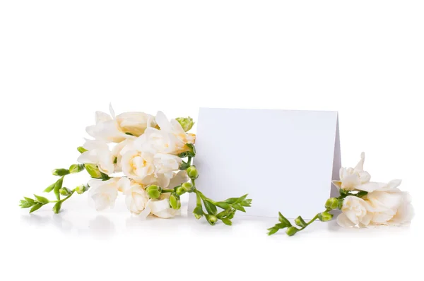 Freesia y una tarjeta en blanco — Foto de Stock