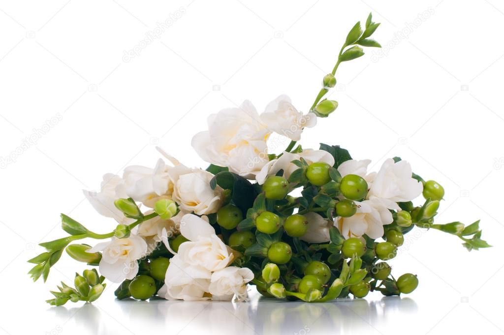 Floraison freesia blanc image libre de droit par manera © #57480783