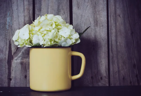 Hortensia bloemen — Stockfoto