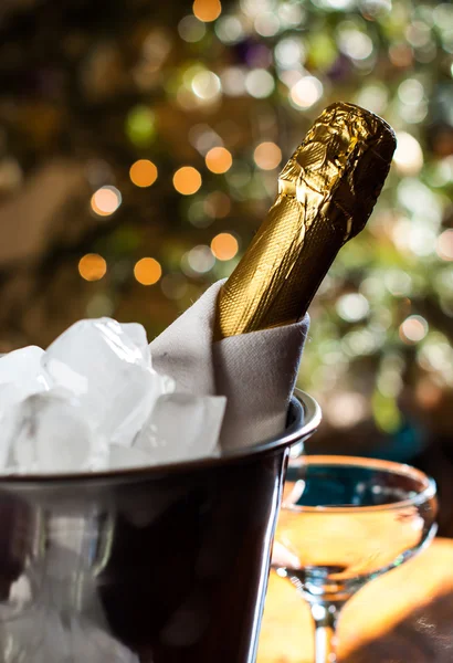 Fles gekoelde champagne — Stockfoto